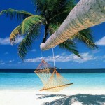 Speciale Estate: le migliori app da portare in vacanza