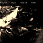 Lightwagon: l’app di editing fotografico su iPhone si aggiorna