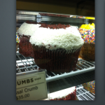 Postrr Camera, un’alternativa ad Instagram per iPhone jailbroken – Cydia