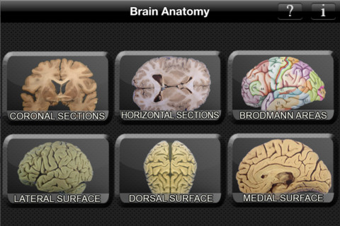 Brain Anatomy: interessante applicazione medico-educativa riguardante il campo delle neuroscienze