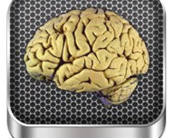 Brain Anatomy: interessante applicazione medico-educativa riguardante il campo delle neuroscienze