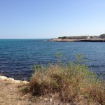 iPhone 5 vs iPhone 4S: confronto foto e video [Aggiunte foto in notturna]