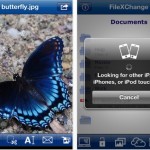 FileXChange si aggiorna: arriva la lingua italiana