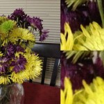 Fotocamera iPhone 5: il confronto ed il parere di un fotografo professionista