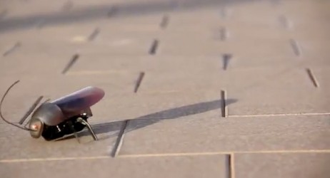L’iPhone controlla insetti e scarafaggi!