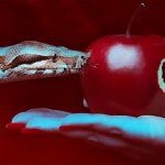 Alcuni dipendenti Apple parlano dei motivi per cui l’azienda ha perso il suo “vanto”: la segretezza!