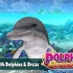 “Il Paradiso dei Delfini”, un gioco per chi ama i delfini!