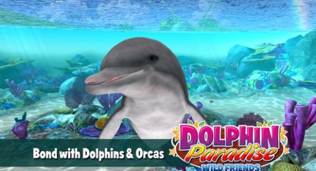 “Il Paradiso dei Delfini”, un gioco per chi ama i delfini!