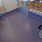 Dropcam: videocamera e app per la videosorveglianza remota