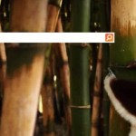 iPhone 5 domina le ricerche tramite Bing