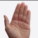 Apple e l’iPhone da 5 pollici che non c’è…