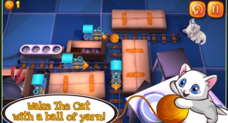 Wake the Cat: svegliamo il gatto che dorme