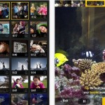 VideoBite, l’app gratuita di Adobe per unire più video in uno