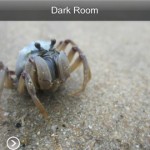 Digital Negative: l’app che consente di salvare le foto in formato RAW, o no?