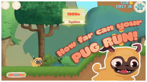 Pug Run 3
