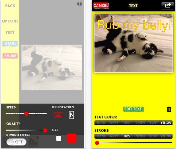 Crea gif animate su iPhone con l’app gratuita GifMill