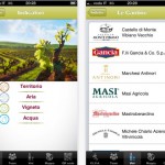 V.I.V.A. Sustainable Wine: il progetto del Ministero dell’Ambiente diventa uno strumento di trasparenza per il consumatore