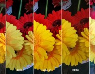 Fotocamera di smartphone a confronto: Galaxy S4, iPhone 5, Lumia 920, HTC One e Xperia ZL