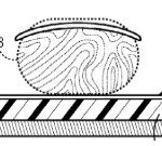 Brevetto Apple: il sensore di impronte digitali potrebbe essere integrato nel bordo dell’iPhone