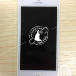 Spuntano in rete le prime immagini di un iPhone economico completamente assemblato, ma…