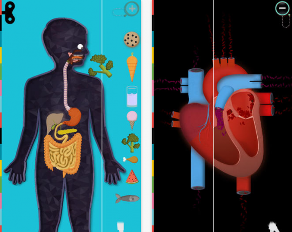 Il corpo: l’app ideale per spiegare ai più piccoli il funzionamento del corpo umano