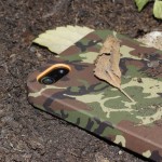 Cover “Camouflage” by SBS – La recensione di iPhoneItalia