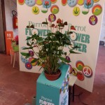 Parrot Flower Power: botanica e tecnologia in un unico prodotto!