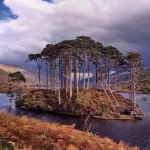 Un fotografo National Geographic loda la fotocamera dell’iPhone 5s