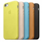 Le custodie Apple piacciono agli utenti