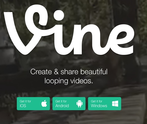 Vine arriva sul web