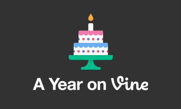 year_on_vine_image_0