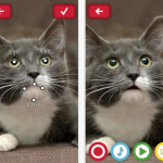 Il mio animale parlante: anima le foto del tuo animale domestico