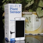 Koubachi WiFi, un sensore che ti dirà tutto sulle tue piante – La recensione di iPhoneItalia