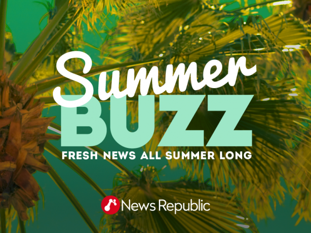 News Republic lancia Summer BUZZ