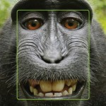 Selfie con la fotocamera posteriore dell’iPhone grazie a SelfieFlip