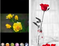 Total Image Effects, tanti effetti gratuiti per le tue foto