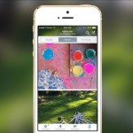Twitter su iPhone mostrerà foto di dimensioni maggiori