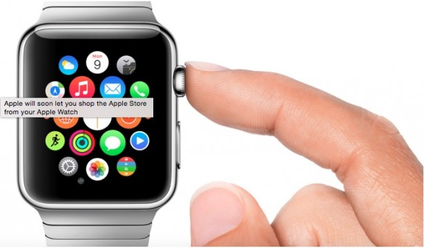 Effettuare acquisti su Apple Store con Apple Watch