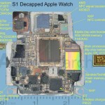 Arriva la conferma: Apple Watch ha 512MB di memoria RAM!