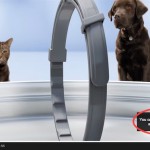 YouTube senza pubblicità? 10$ al mese e passa la paura