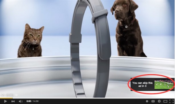 YouTube senza pubblicità? 10$ al mese e passa la paura