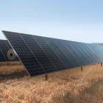 Apple al top delle classifiche Greenpeace per il rispetto dell’ambiente