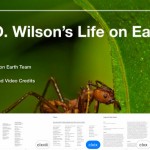 iOS 8.4: arriveranno su iPhone i libri creati con iBooks Author