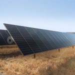 Apple farà parte dell’American Business Act per l’ambiente