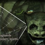 “Spider: Rite of the Shrouded Moon”: puzzle game con protagonisti i ragni