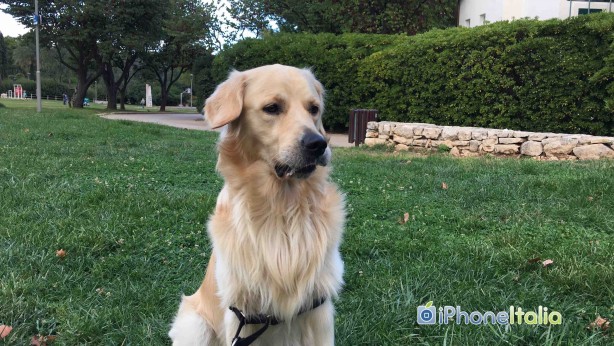 iPhone 6s Plus: il test della fotocamera – VIDEO