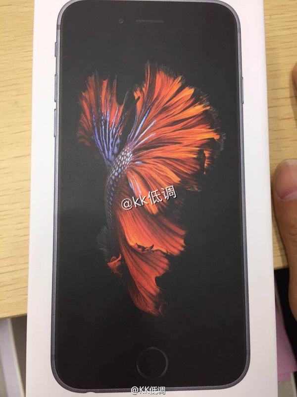 iphone-6s-retail-packaging-leak-1