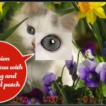 Red Dot Camera: una fotocamera “manuale” sul nostro iPhone