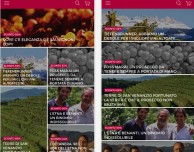 Nuove app per lo shopping online: Tannico dedicata ai vini e Shoppable al design