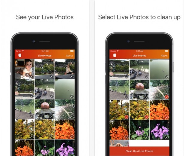Lean: rendere statiche le Live Photos per risparmiare spazio su iPhone